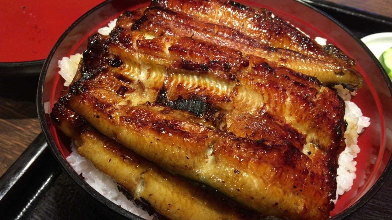 土用丑の日2019】鹿児島市の名店昭和21年創業「うなぎの松重」で