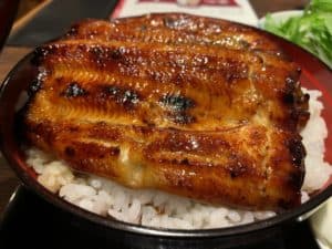 【Payどん】鹿児島市松重の石焼うな丼を混ぜたくってダシをかけておこげまでいただいて最高！