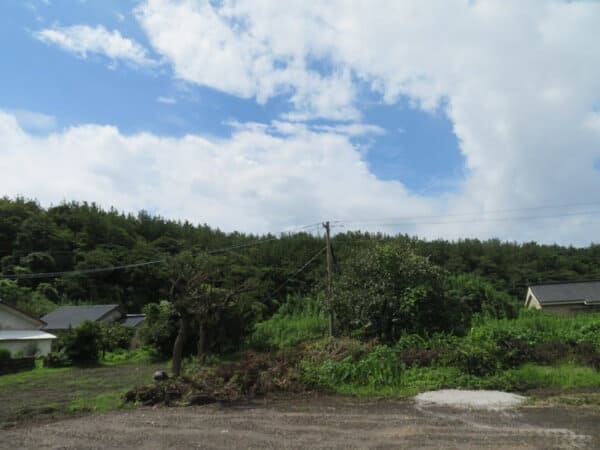 Sakurajimap7