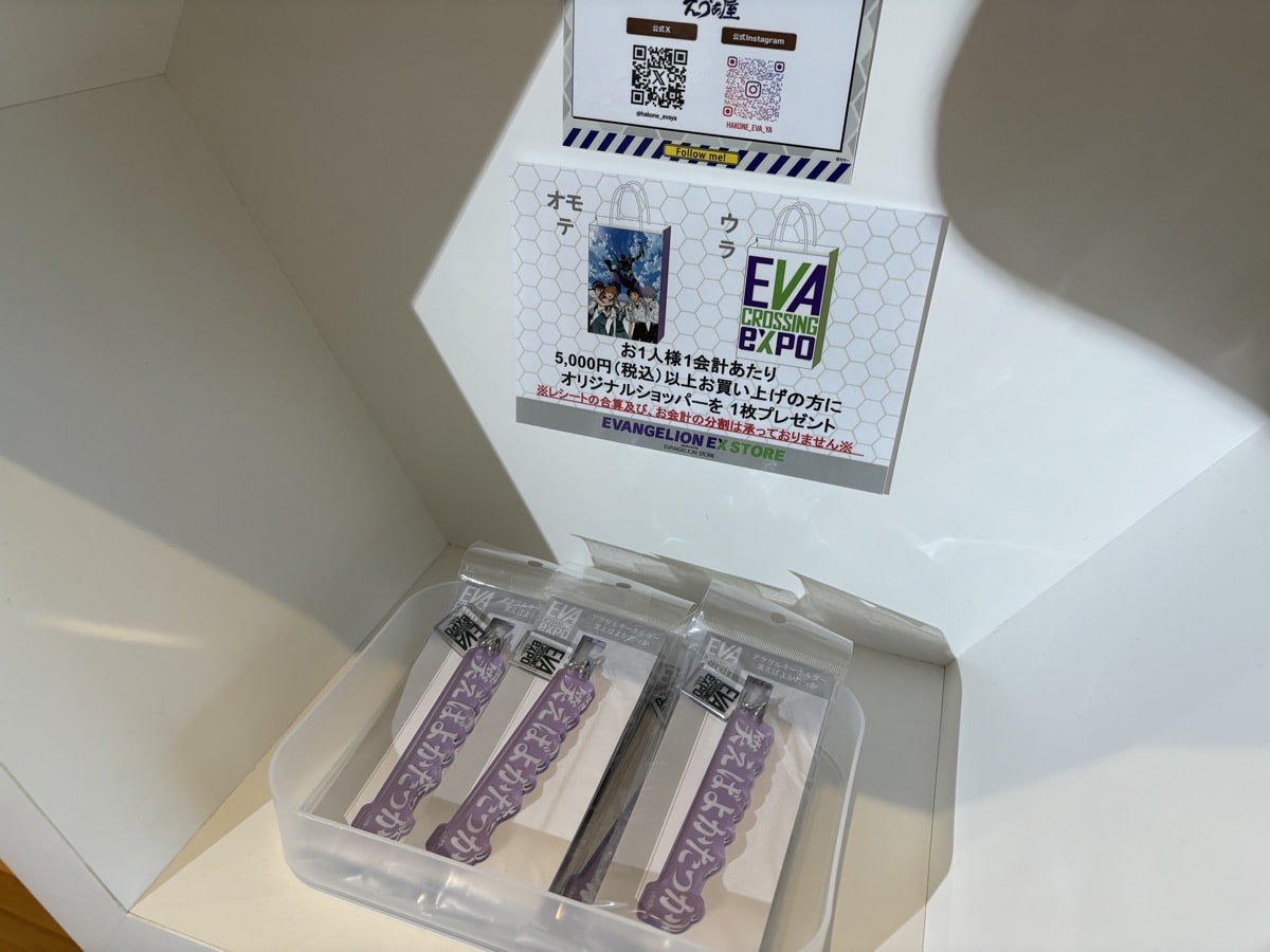 IMG_0833.jpeg エヴァ博 鹿児島 2025