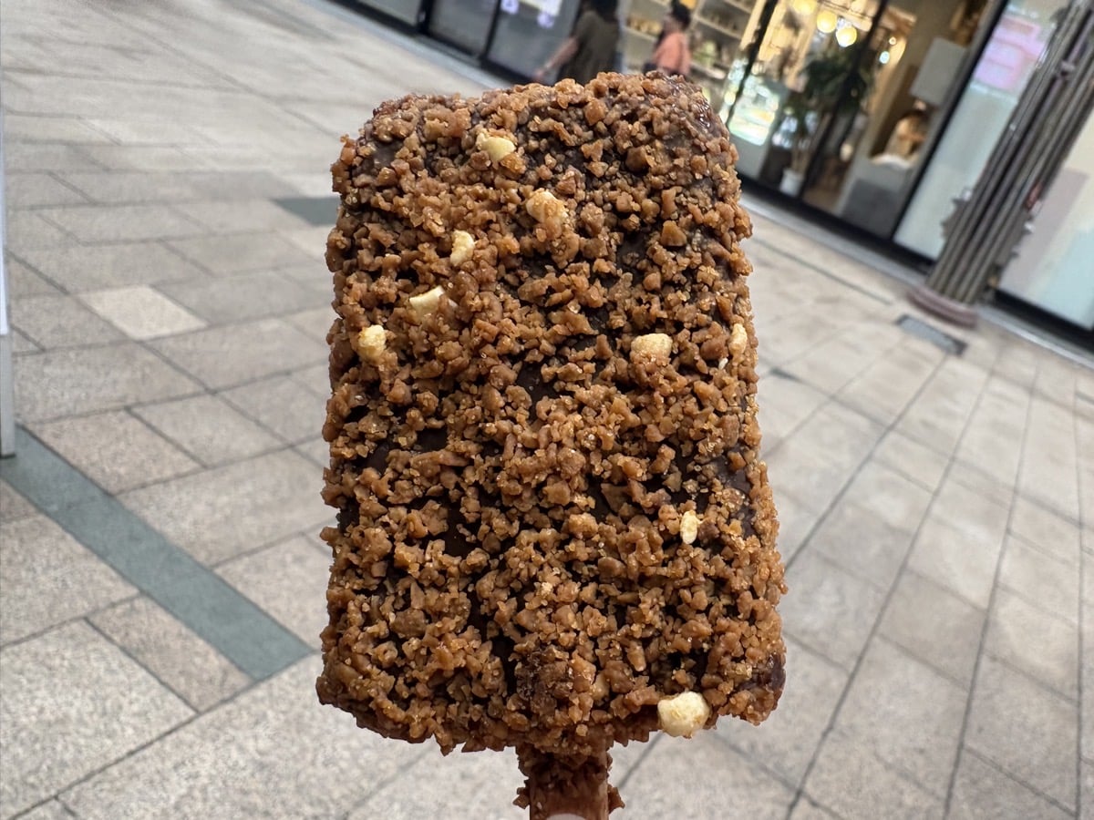 IMG_0984.jpeg ブラックモンブラン ブラックサンダー