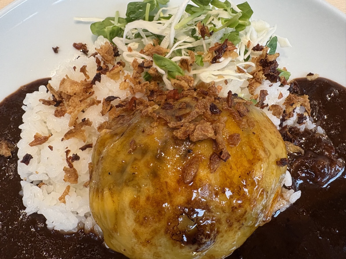 IMG_0997.jpeg 萩カリー ハンバーグ