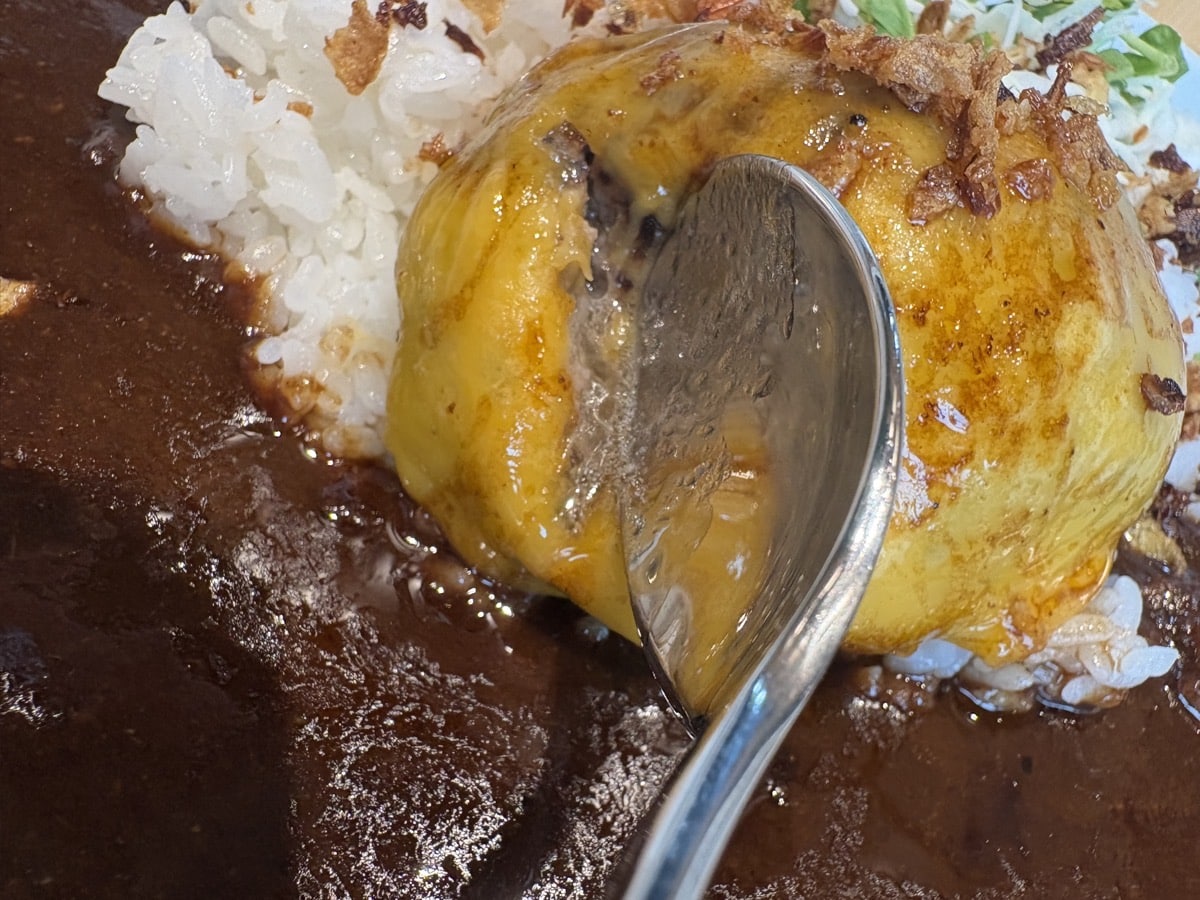 IMG_1001.jpeg 萩カリー ハンバーグ