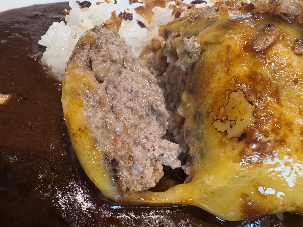 IMG_1002.jpeg 萩カリー ハンバーグ