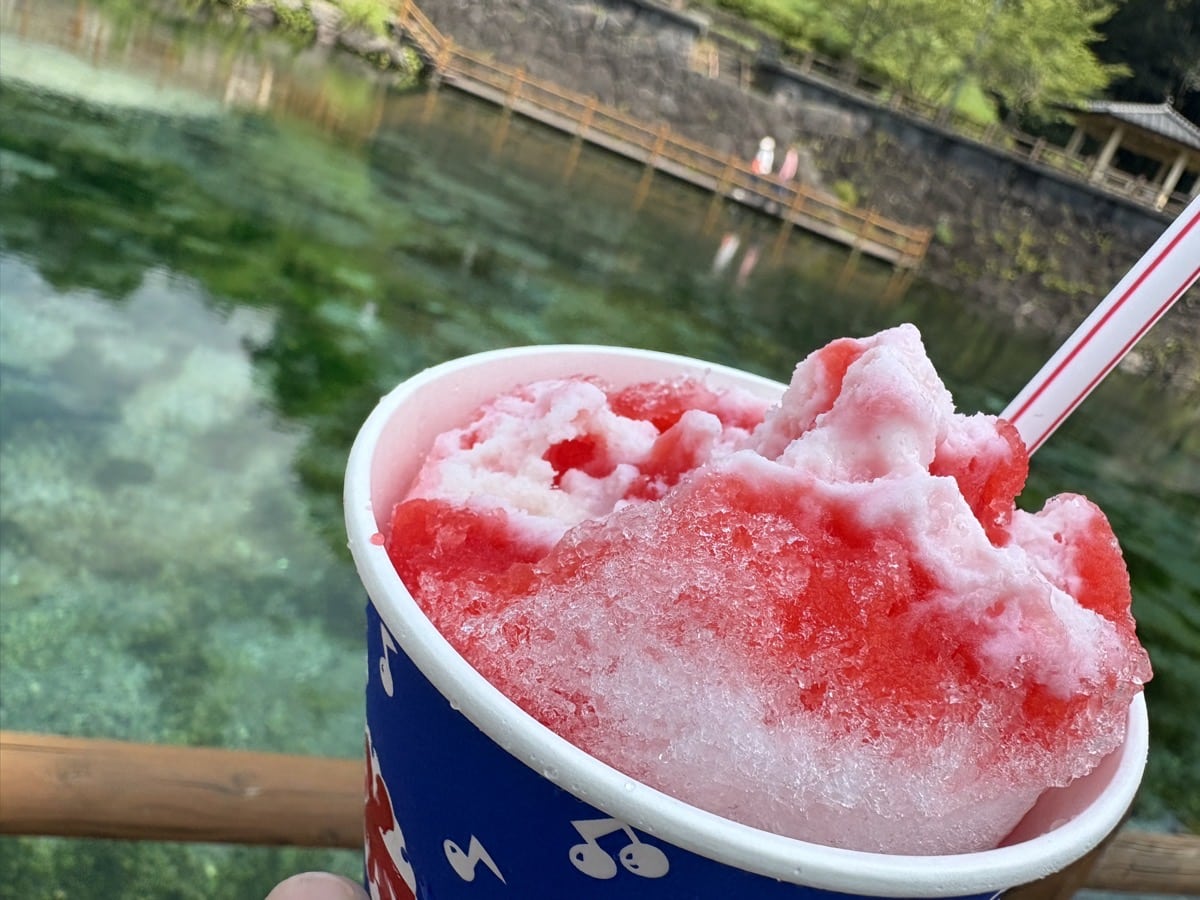 IMG_1110.jpeg まるいけカフェ