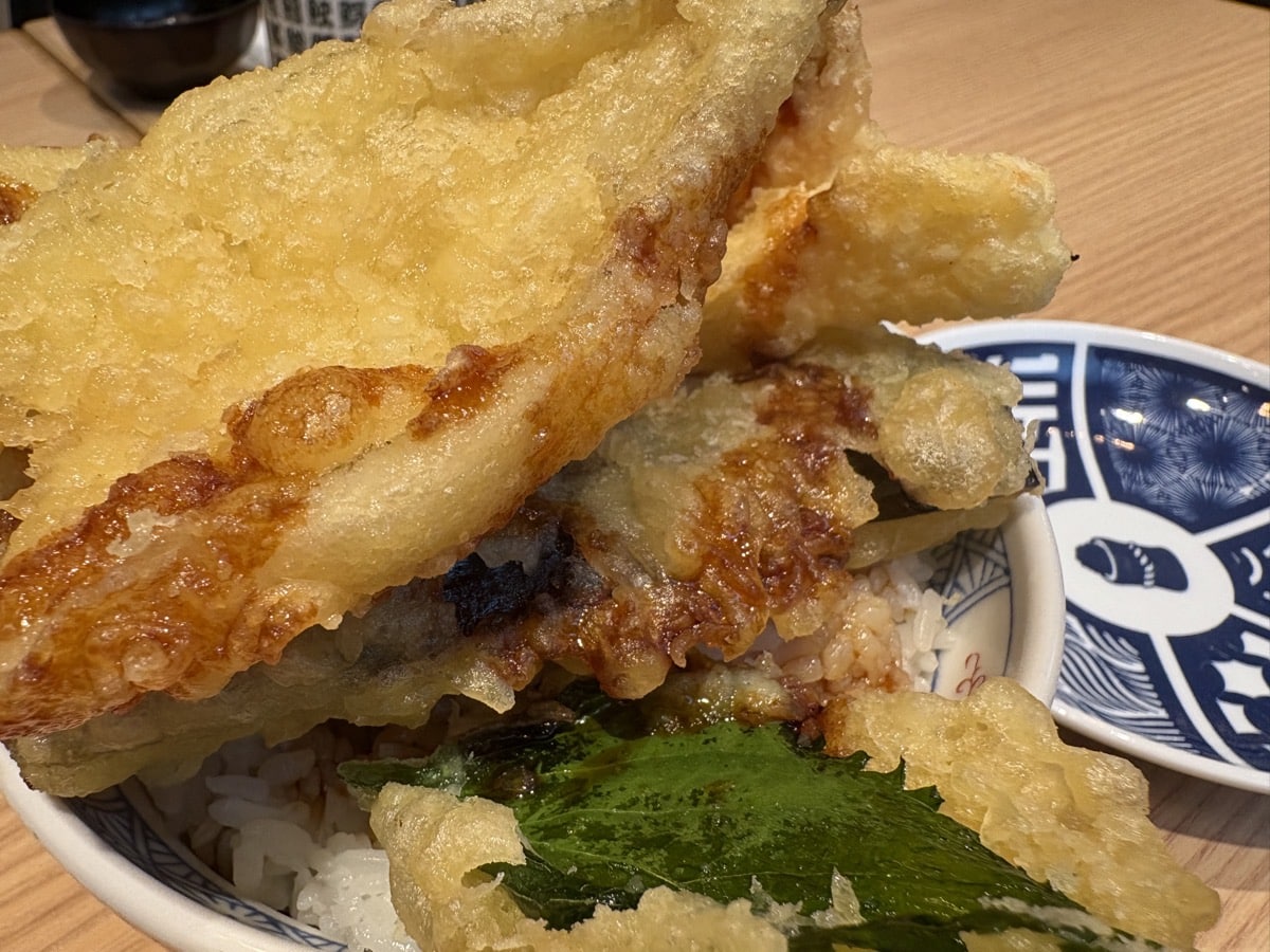 IMG_1281.jpeg 杉玉 天丼