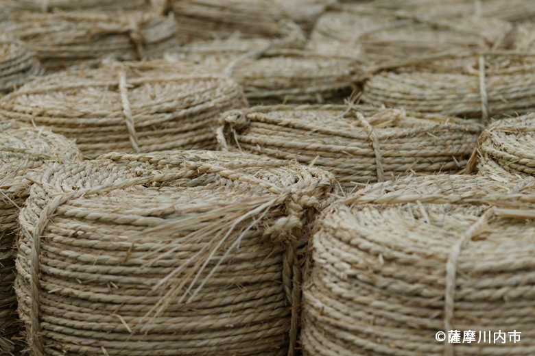 川内大綱引 ツアー 2025