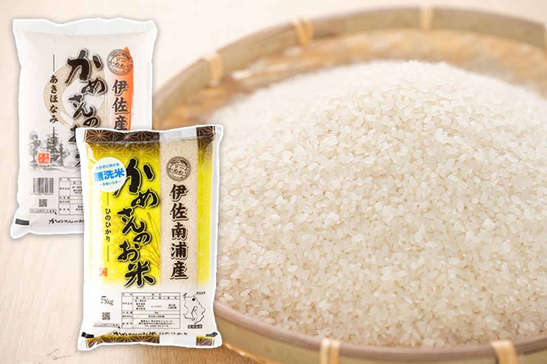 伊佐 ふるさと納税米2025