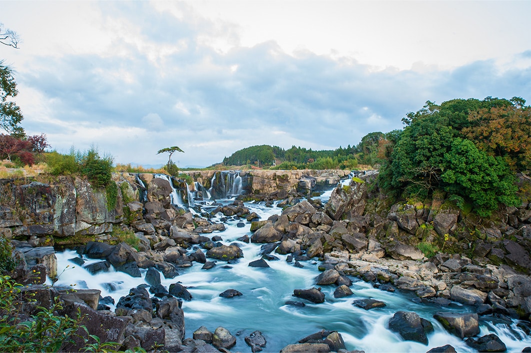 伊佐 ふるさと納税米2025