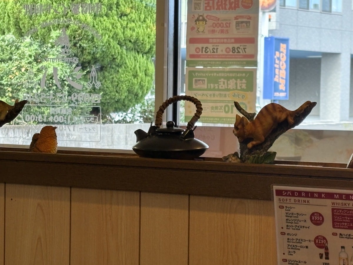 IMG_2049.jpeg 日置 シバ,伊集院 シバ