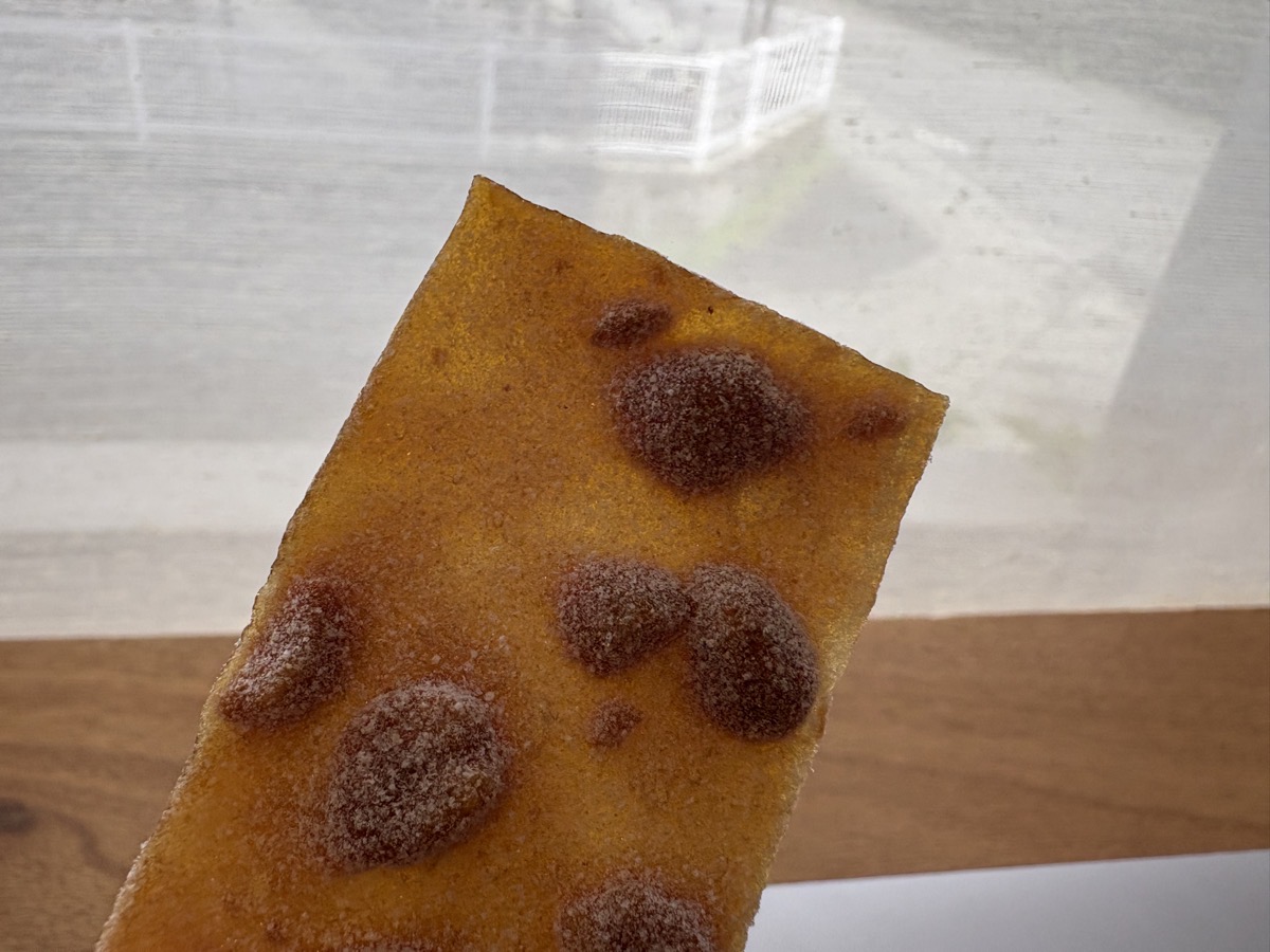 IMG_2383.jpeg 九州銘菓展 山形屋 2025