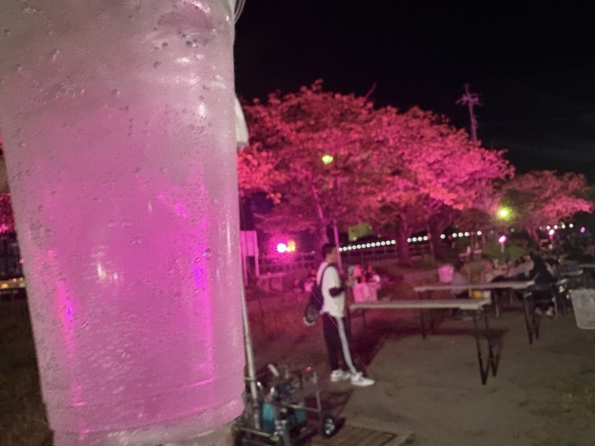 IMG_2530.jpeg 長月桜祭り2025