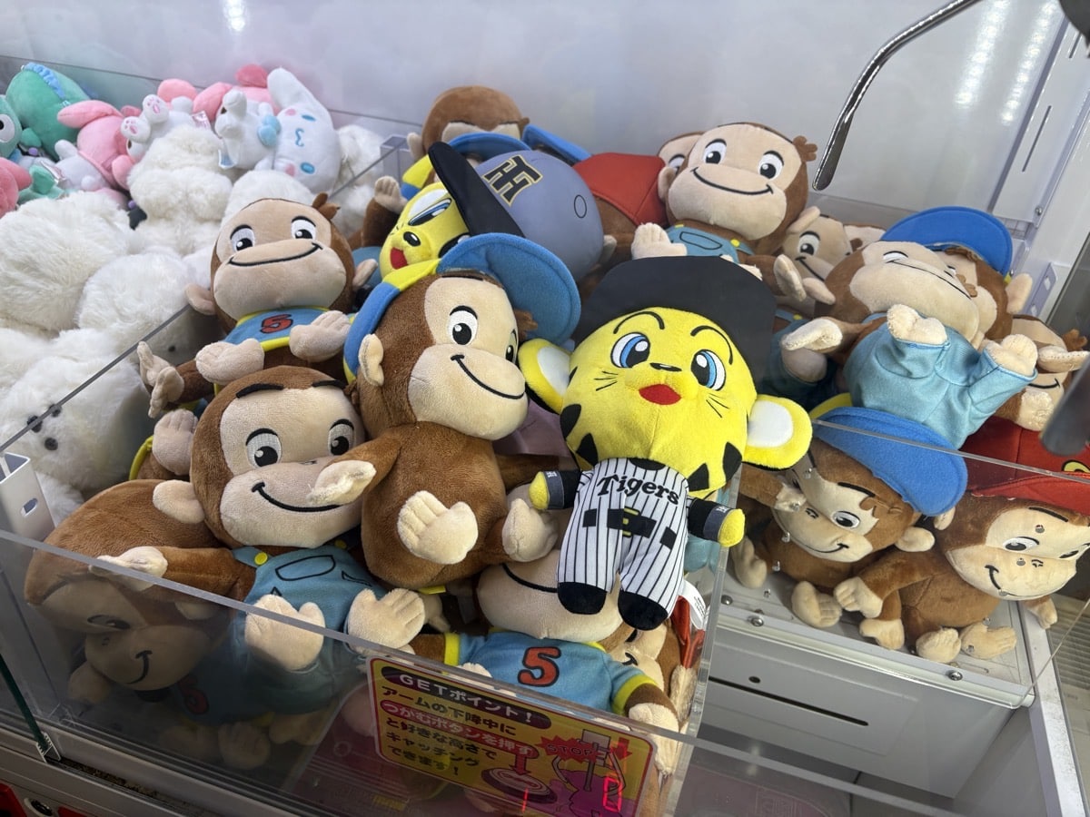 IMG_2646.jpeg 万博 さんふらわあ 鹿児島