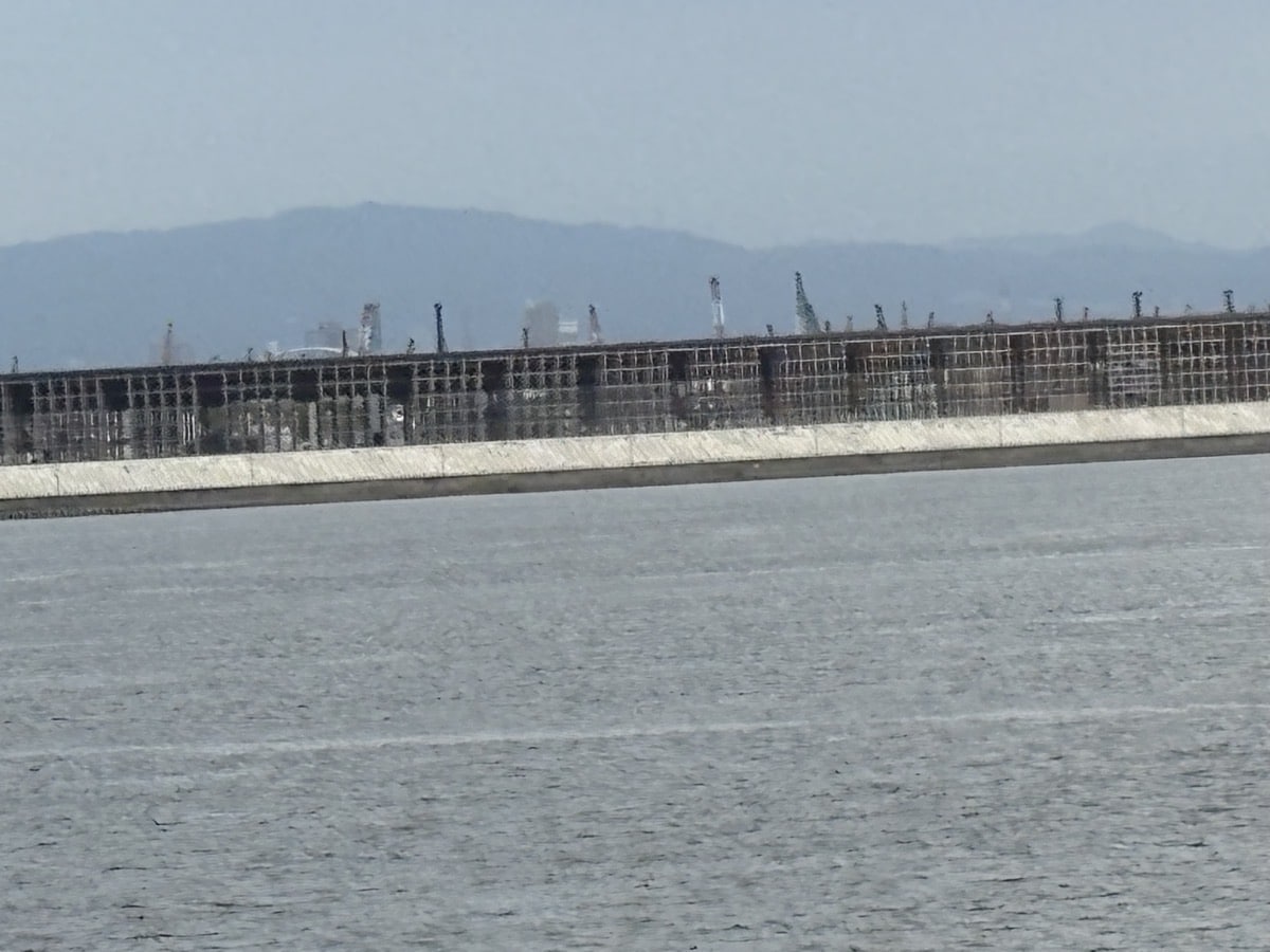 IMG_2734.jpeg 大阪万博 ナウル