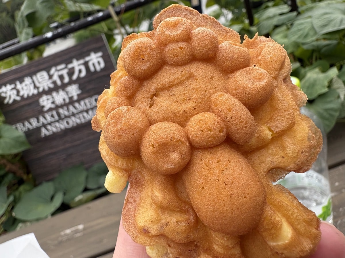 IMG_2873.jpeg 大阪万博 ナウル