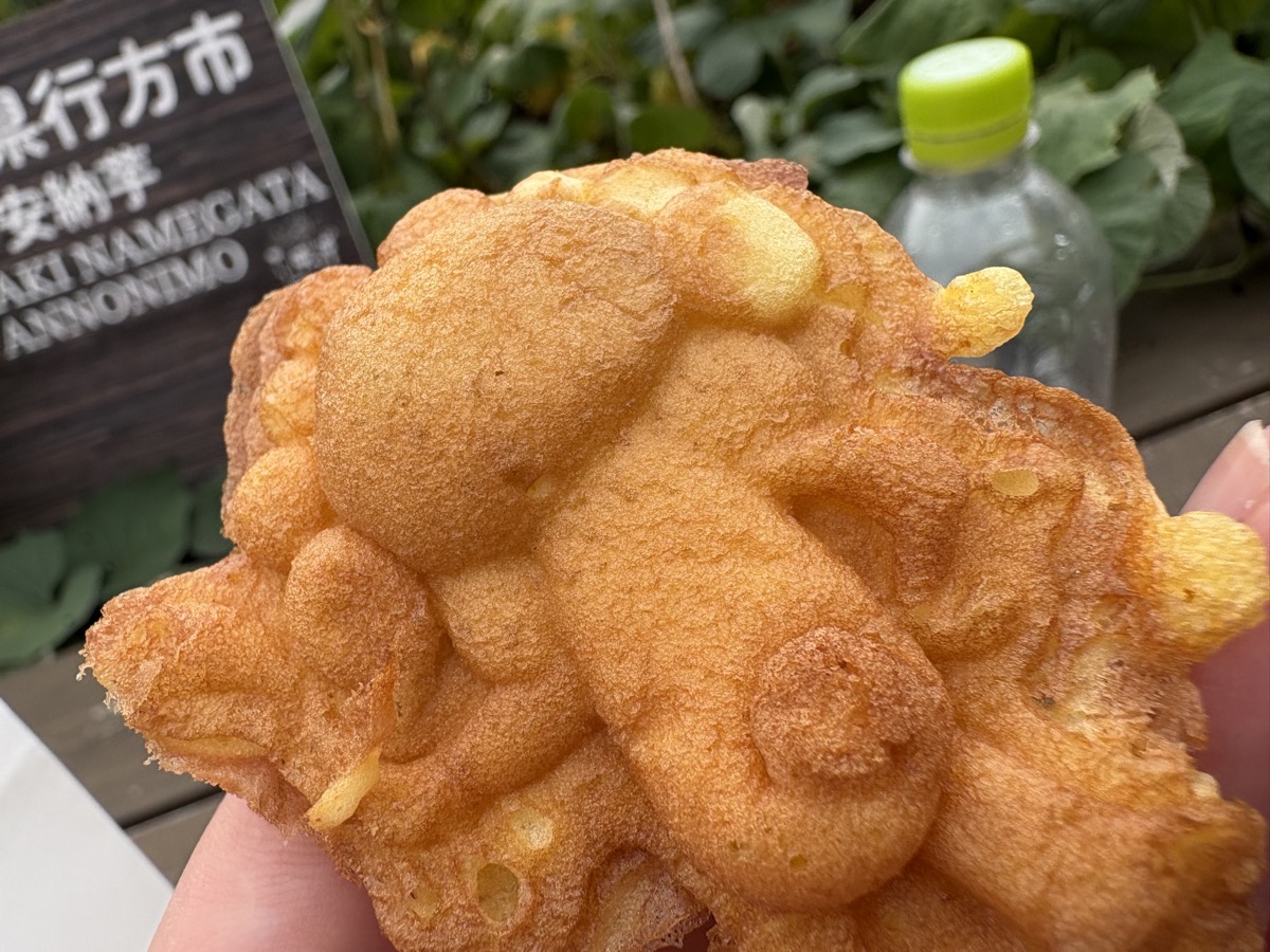 IMG_2874.jpeg 大阪万博 ナウル