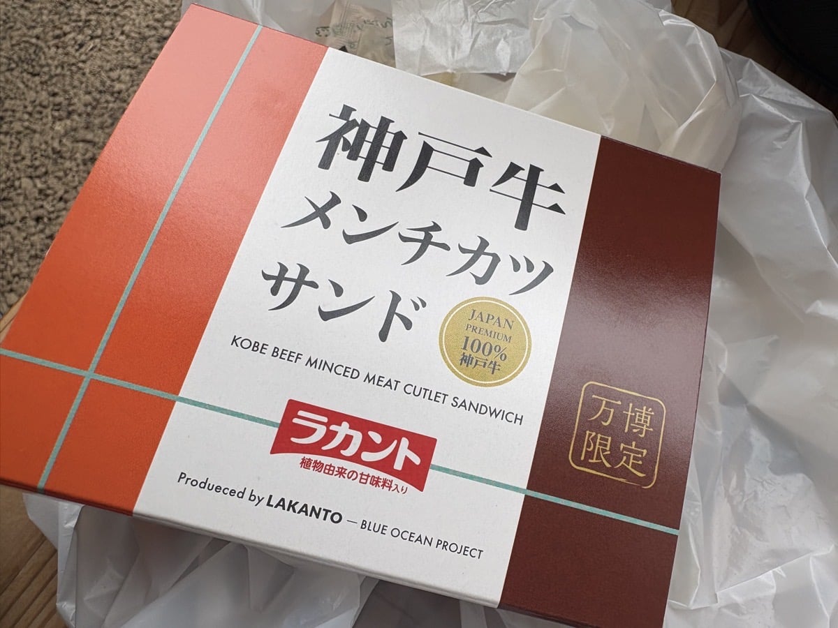 IMG_3002.jpeg 万博 レポ ブログ