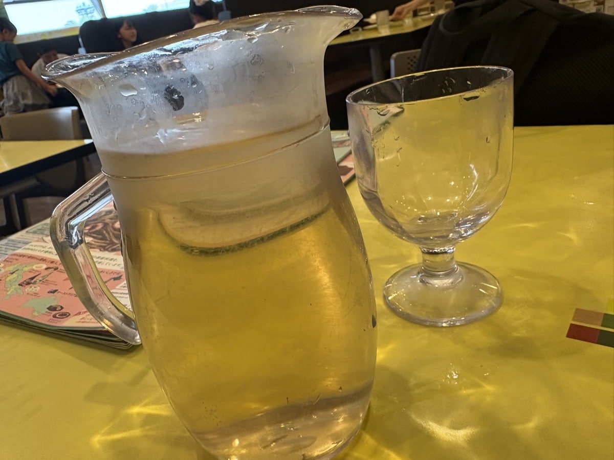 IMG_3079.jpeg 鹿児島から万博 ブログ