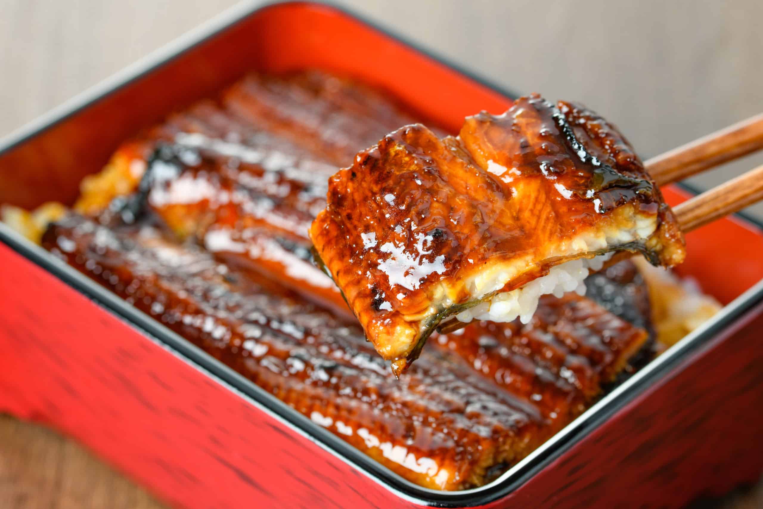 東串良 うなぎ 100匹