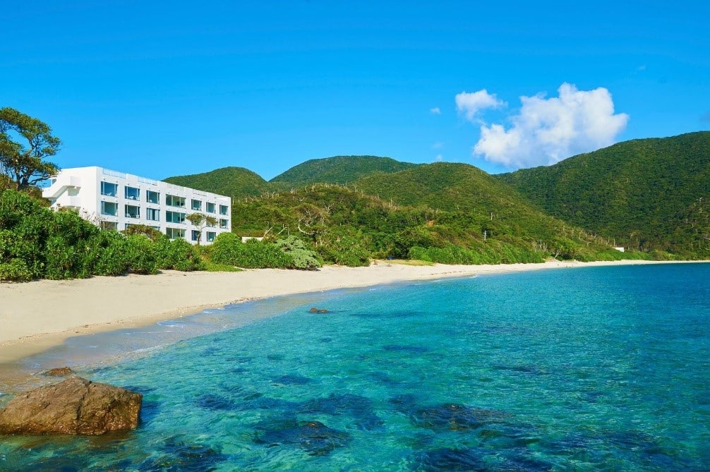 THE SCENE アンバサダー