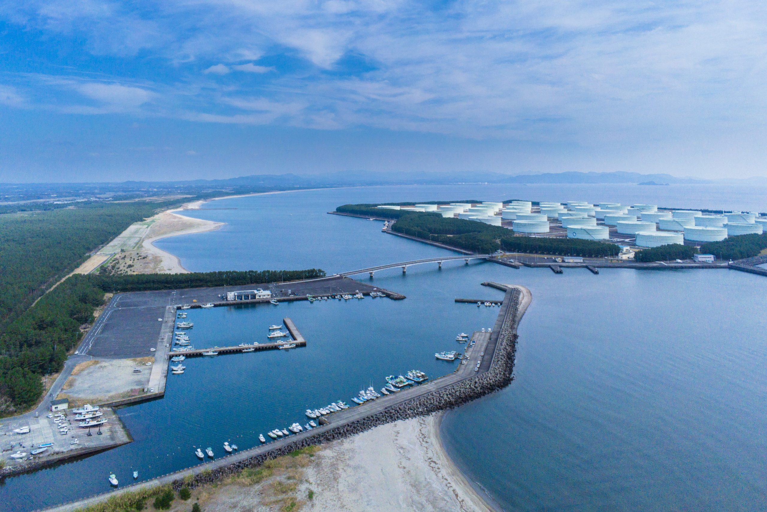 東串良 うなぎ 100匹