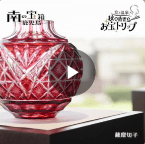 南の宝箱 鹿児島 キャンペーン2弾