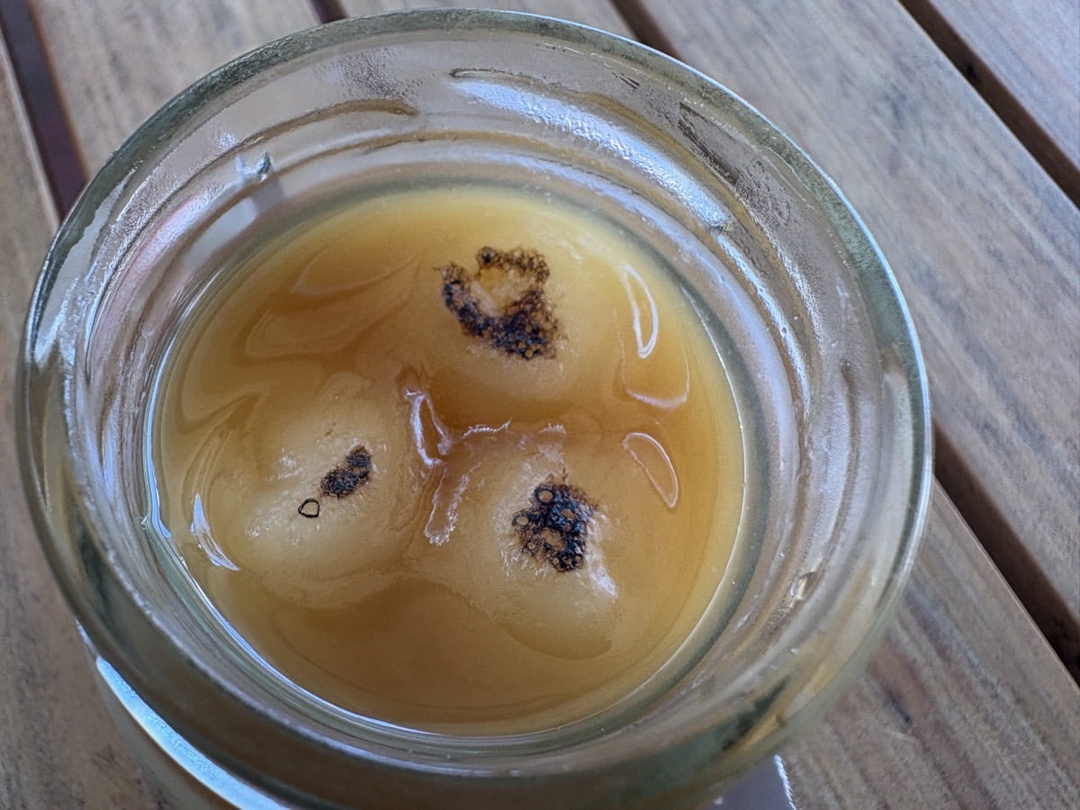 IMG_3467.jpeg 大京都のれん市2025