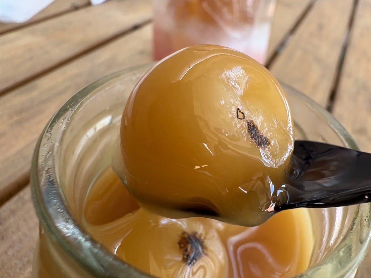 IMG_3468.jpeg 大京都のれん市2025