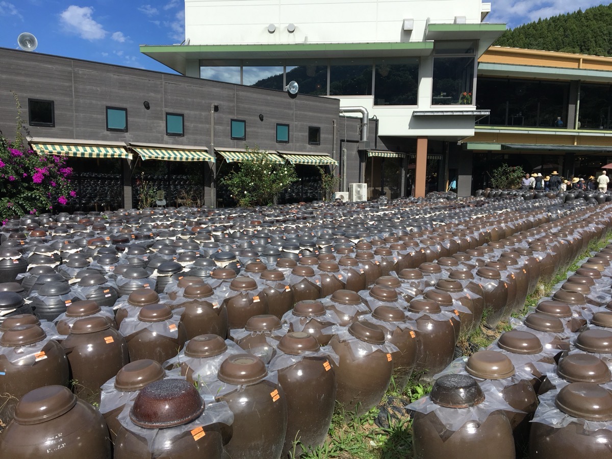 IMG_3988.JPG 桃鉄2 鹿児島