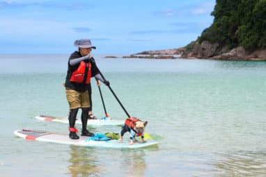 嘉之助 2019-2025 6年・ドリフターズ「島津豊久」ラベル 島津豊久
