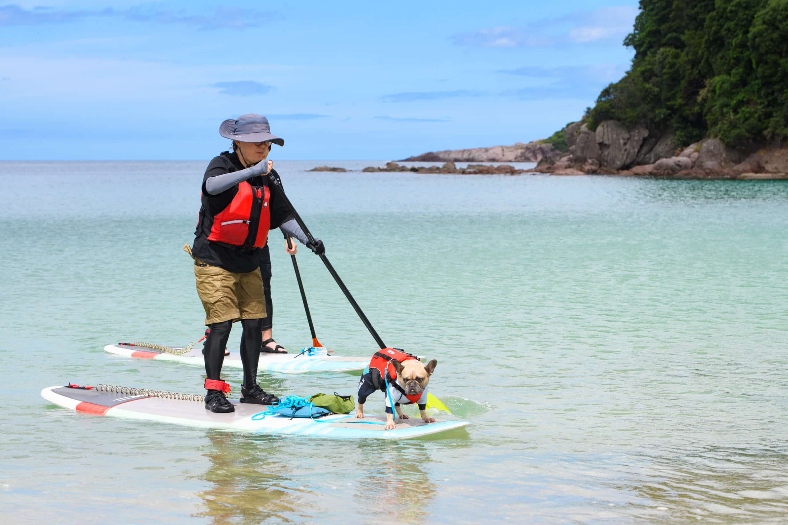 ふるさと納税 wagテイル