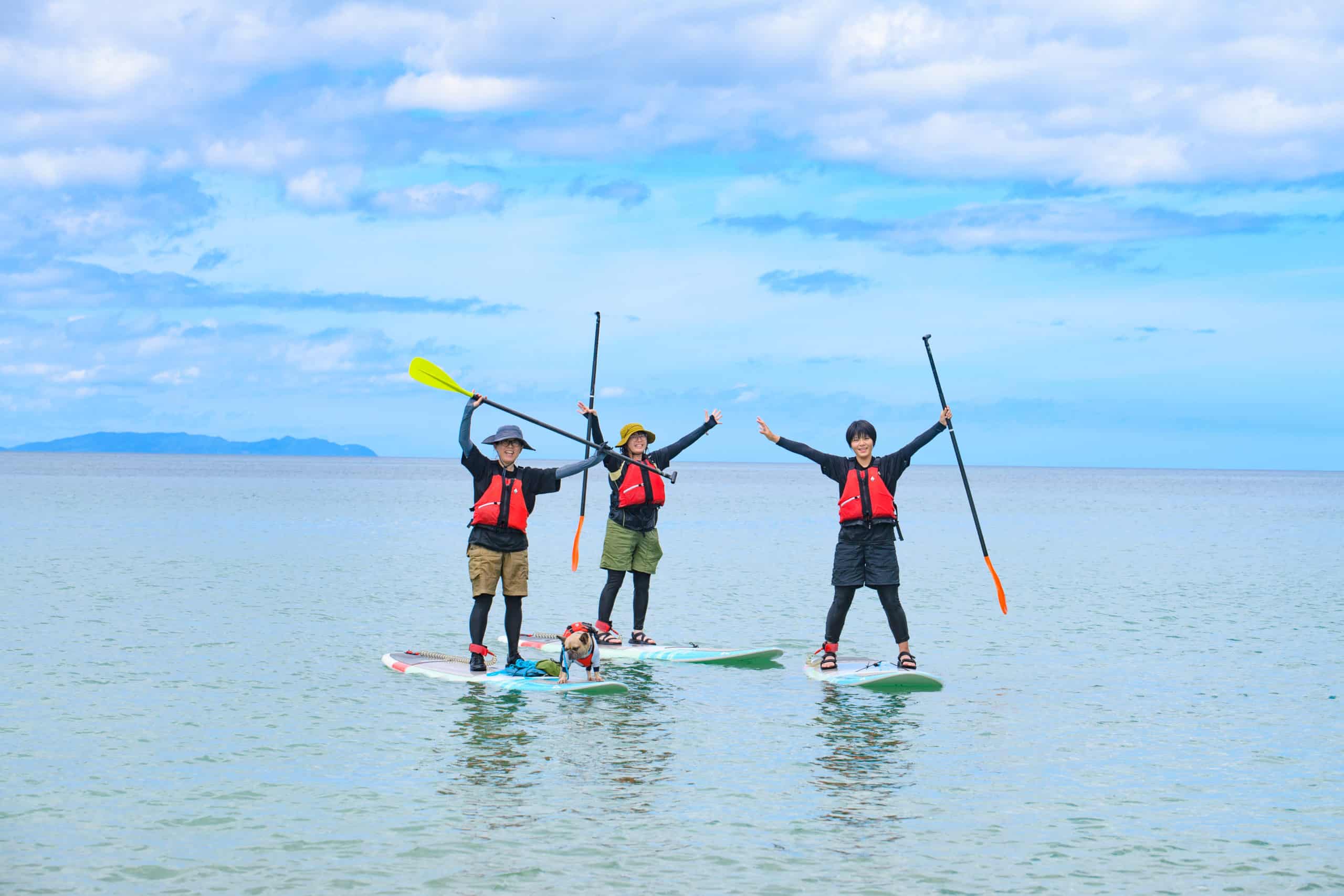 ふるさと納税 wagテイル