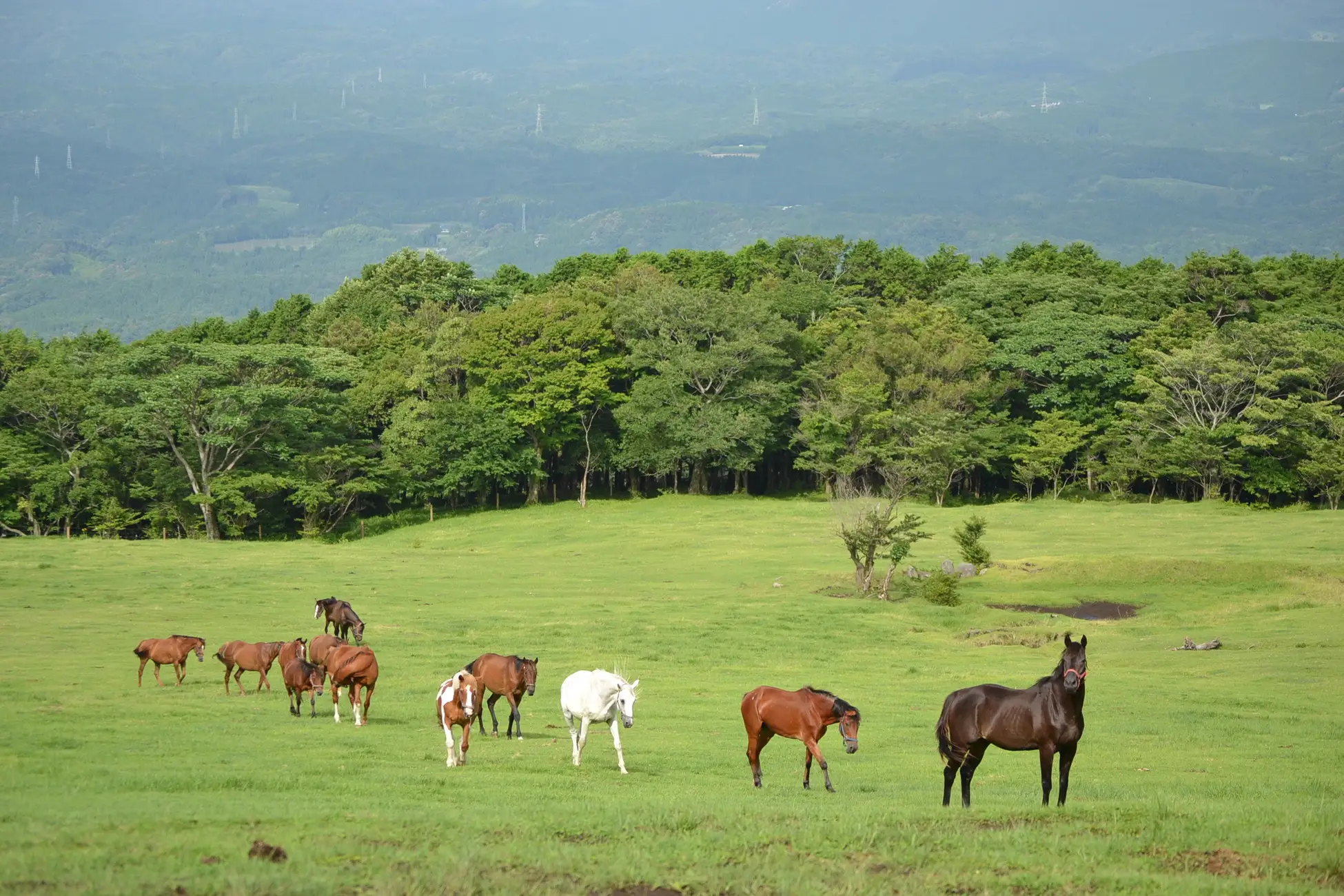 122077 173 d9a6b4b6175cc1019c6b6803b9fb30aa 2304x1536