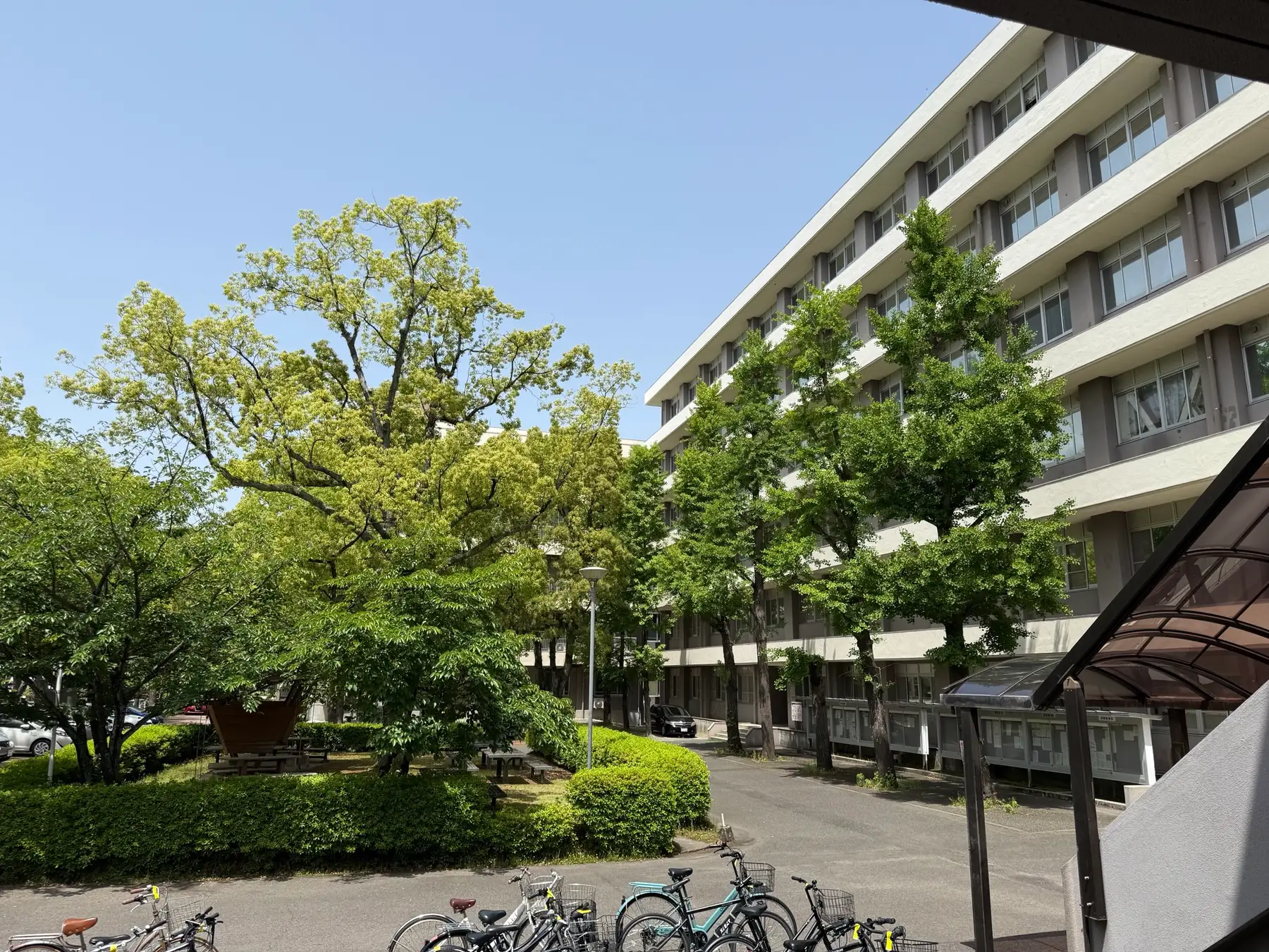 緑に囲まれた大学キャンパスの建物