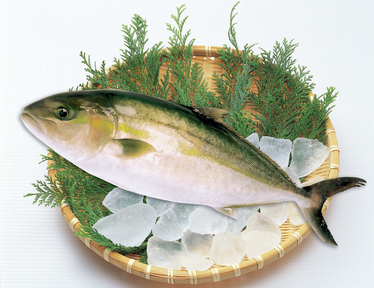 氷と葉の上に魚