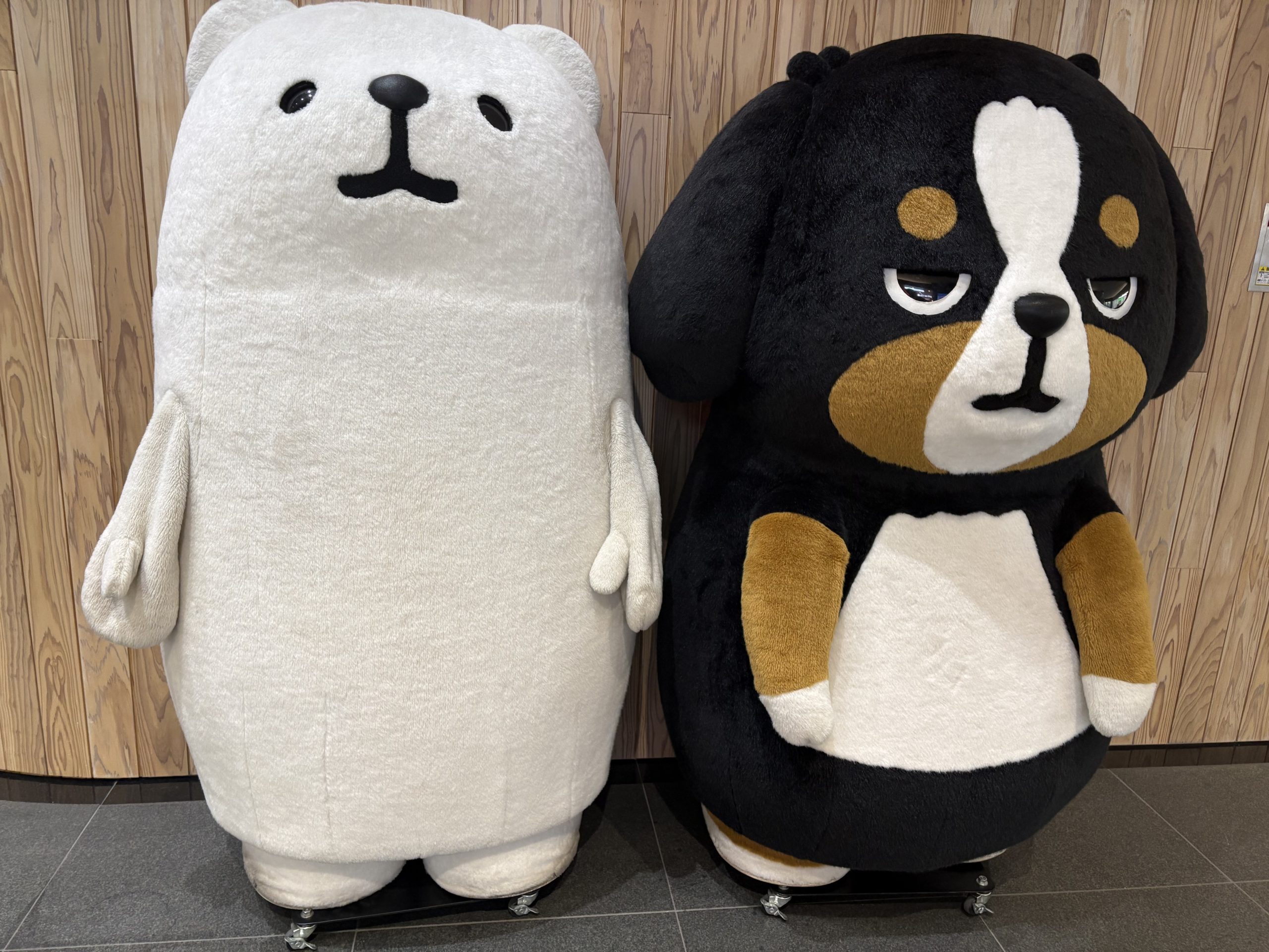 2つのぬいぐるみが並んでいる