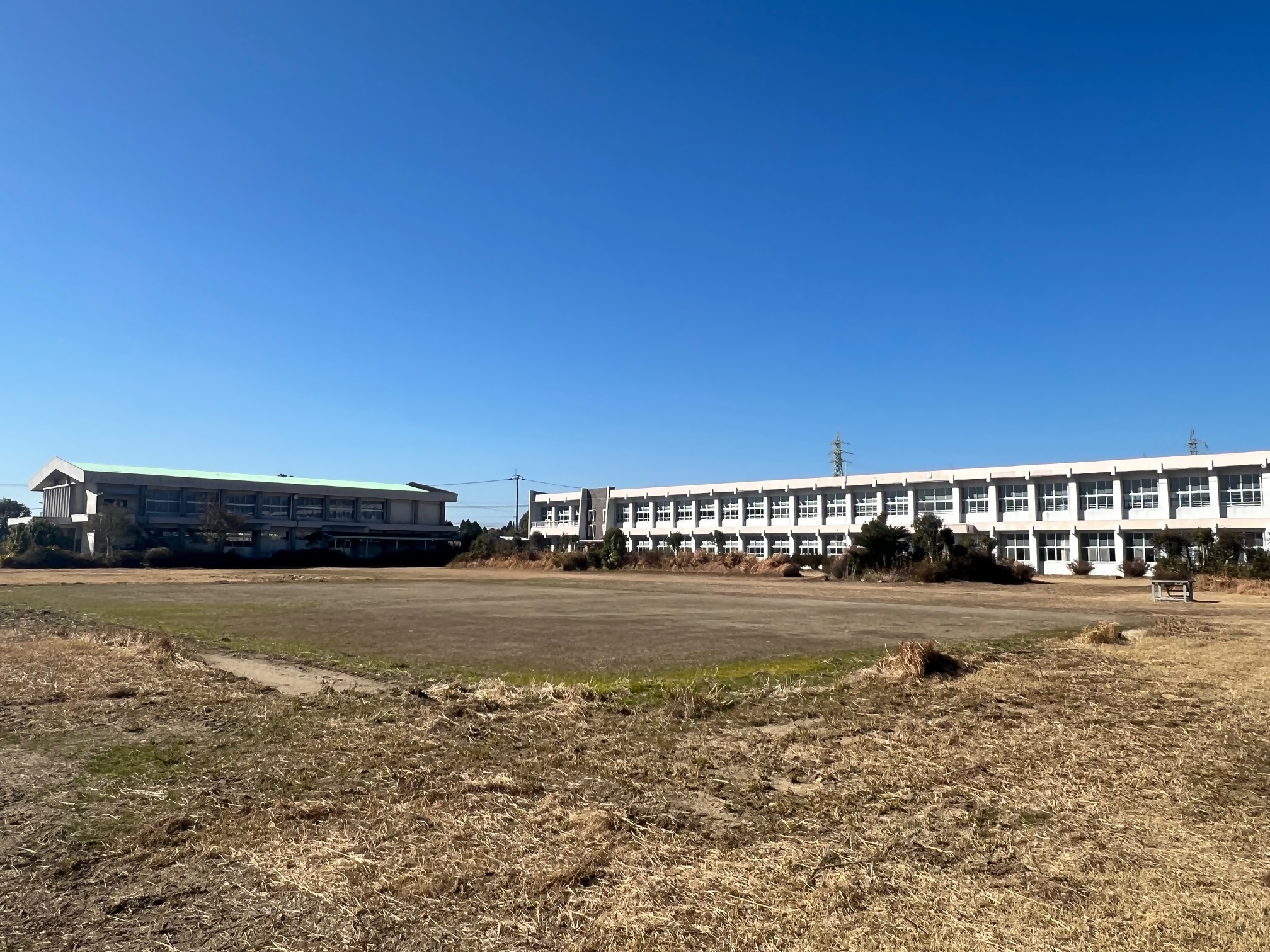 青空の下の学校と校庭