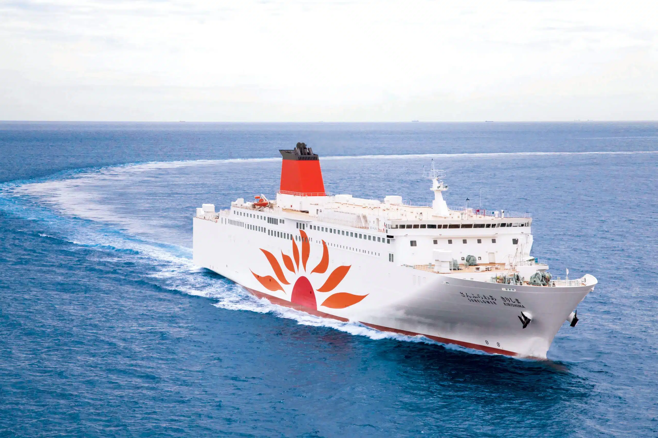 海上の白い大型フェリー