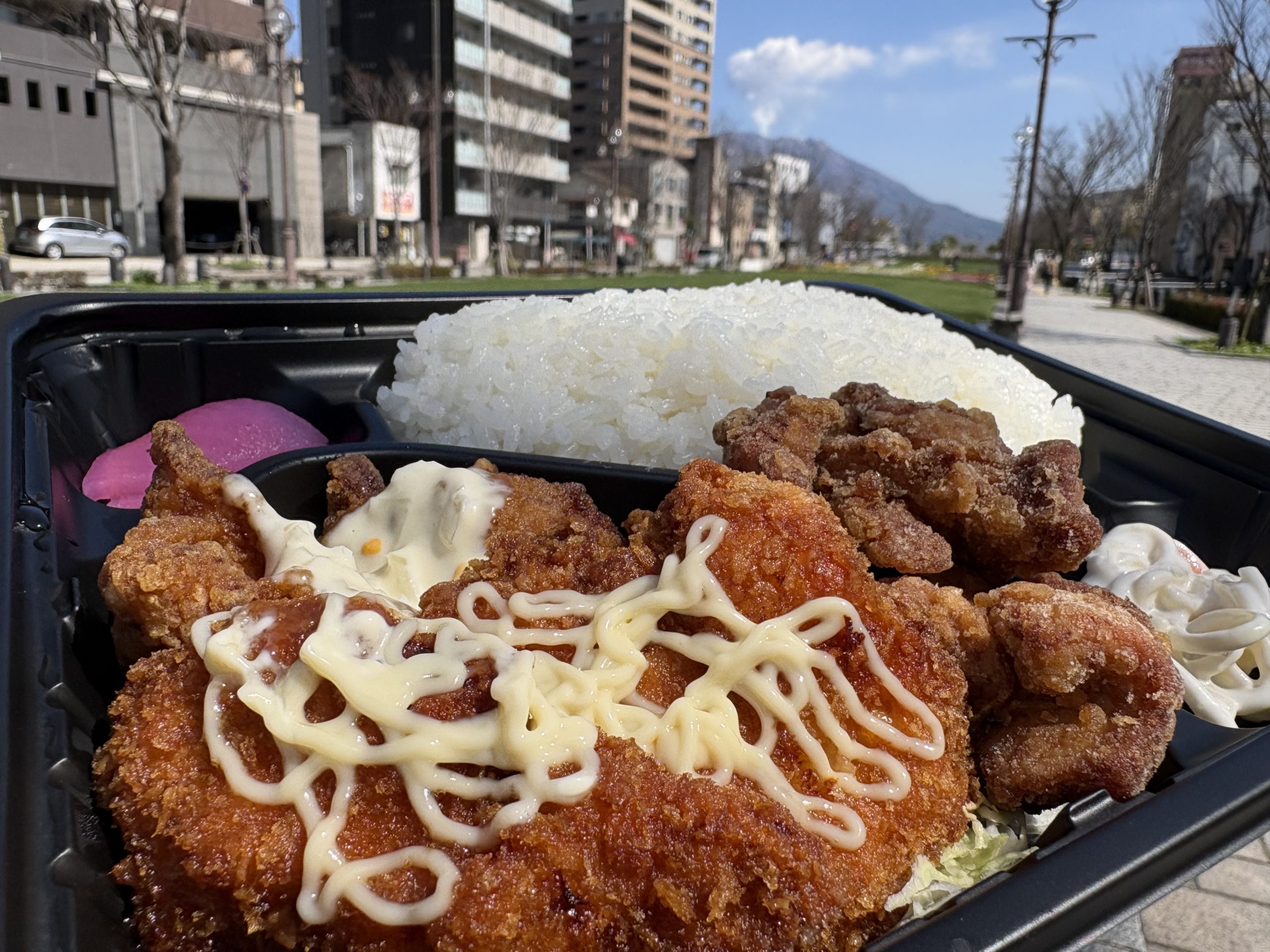 公園でのカツ弁当