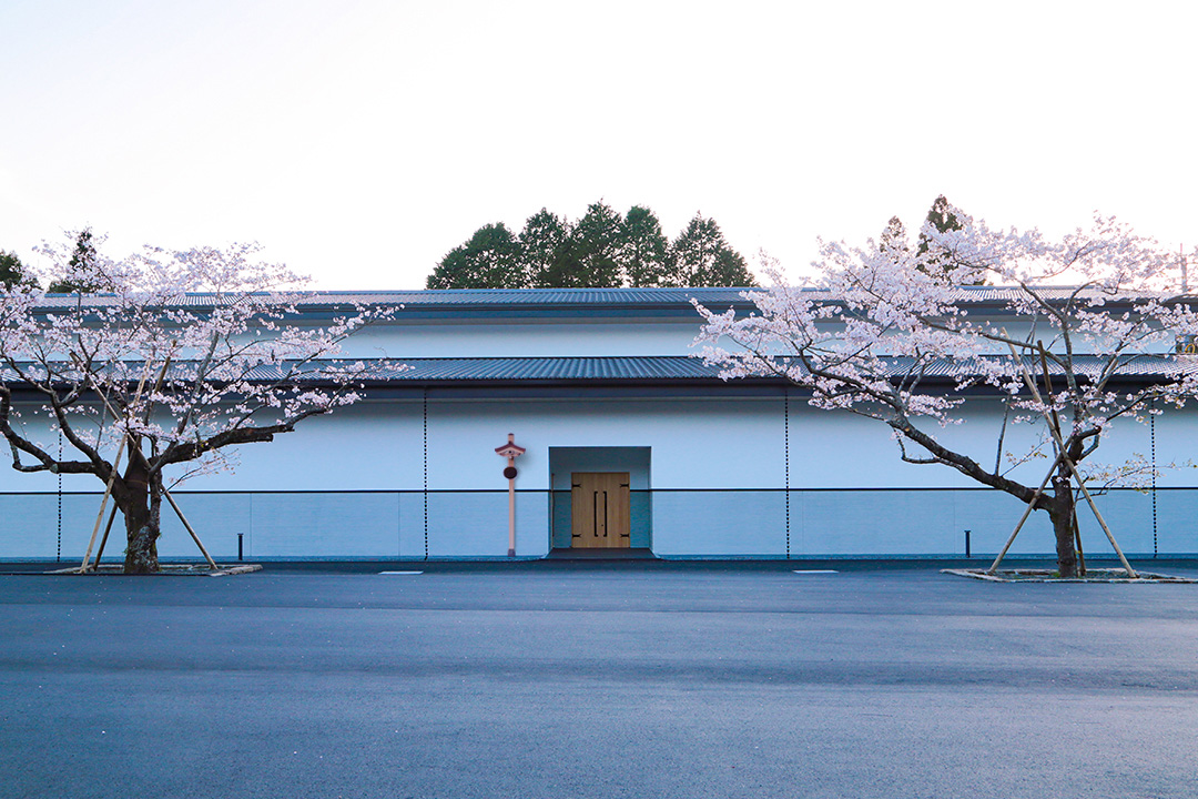 桜が咲くモダンな建物