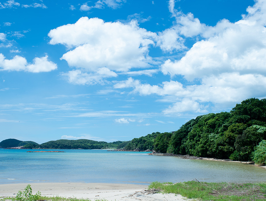 青い空と緑の海岸線