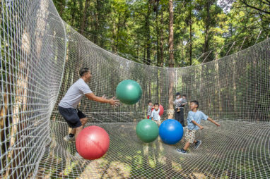 森の中のネット遊び場