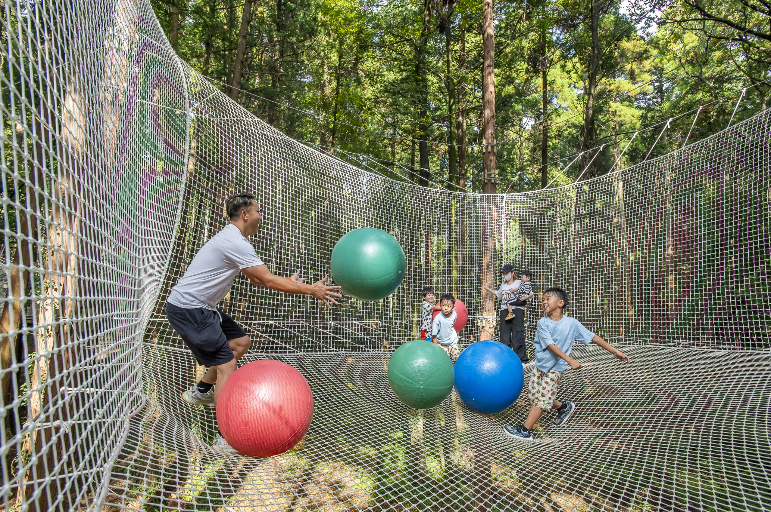 森の中のネット遊び場